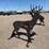 ar500-steel-deer-shooting-target-with-heart-flapper-image-1