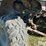 2001-polaris-magnum-325-image-18