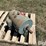 lima-mac-10kw-generator-image-3