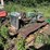 john-deere-40c-image-3