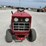 international-cub-image-5