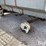 oliver-feed-wagon-w/-running-gear-image-20