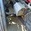 2020-kenworth-t680-image-48