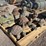 pallet-of-asst-concrete-turtles-and-stepping-image-2