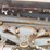 farmall-regular-image-15
