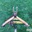 1-shank-3-pt-ripper-image-10