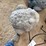 outdoor-frog-décor-&-other-image-5