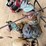 outdoor-frog-décor-&-other-image-8