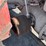 fordson-f-image-19