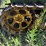 john-deere-40c-image-15