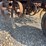 john-deere-h-image-60