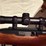 ruger-mdl.10/22-22lr-carbine-rifle-image-14