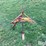 1-shank-3-pt-ripper-image-8