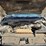 2018-ford-f150-image-19