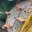 john-deere-d-image-16
