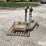fairbanks-&-howe-antique-scales-w/-weights-image-9