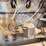 farmall-regular-image-20