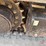 2023-caterpillar-306-cr-image-6