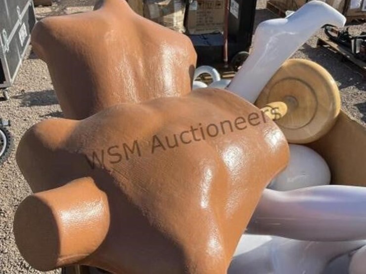 box-of-asst-mannequins-image-4