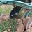 massey-harris-two-bottom-plow-image-13
