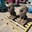 (2)-concrete-lion-statues-image-1