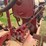 farmall-f-20-image-35
