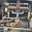 farmall-f-20-image-23