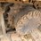 2006-caterpillar-320cl-image-18