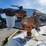 gasboy-1,000-gal-fuel-tank-w/-pump-image-10