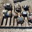 assorted-electric-motors-image-2