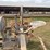 farmall-regular-image-33