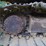 2005-deere-120c-image-8