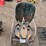 bird-house-&-chair-image-4
