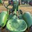 john-deere-l-image-35