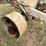 farmall-regular-image-24