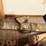 multiple-soft-gun-cases-image-6