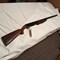 wolfgram-estate-auction-image-6