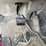 2017-international-workstar-7400-image-19