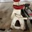 #2584-•-jacks-and-supports-assortment-(cw)-image-19