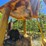 caterpillar-963-image-44