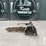 2024-bobcat-lt113-image-1