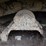 2023-link-belt-3740tl-image-33
