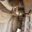 1994-caterpillar-d6h-xl-image-10