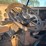 2017-mack-gu713-grantie-tri-axle-dump-truck-image-24