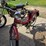 the-raleigh-bicycle-image-1