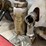 #2584-•-jacks-and-supports-assortment-(cw)-image-14
