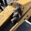 2014-caterpillar-262d-image-10