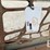 bobcat-pallet-forks-image-5