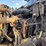 2017-mack-gu713-grantie-tri-axle-dump-truck-image-21