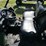 2013-john-deere-825i-image-9